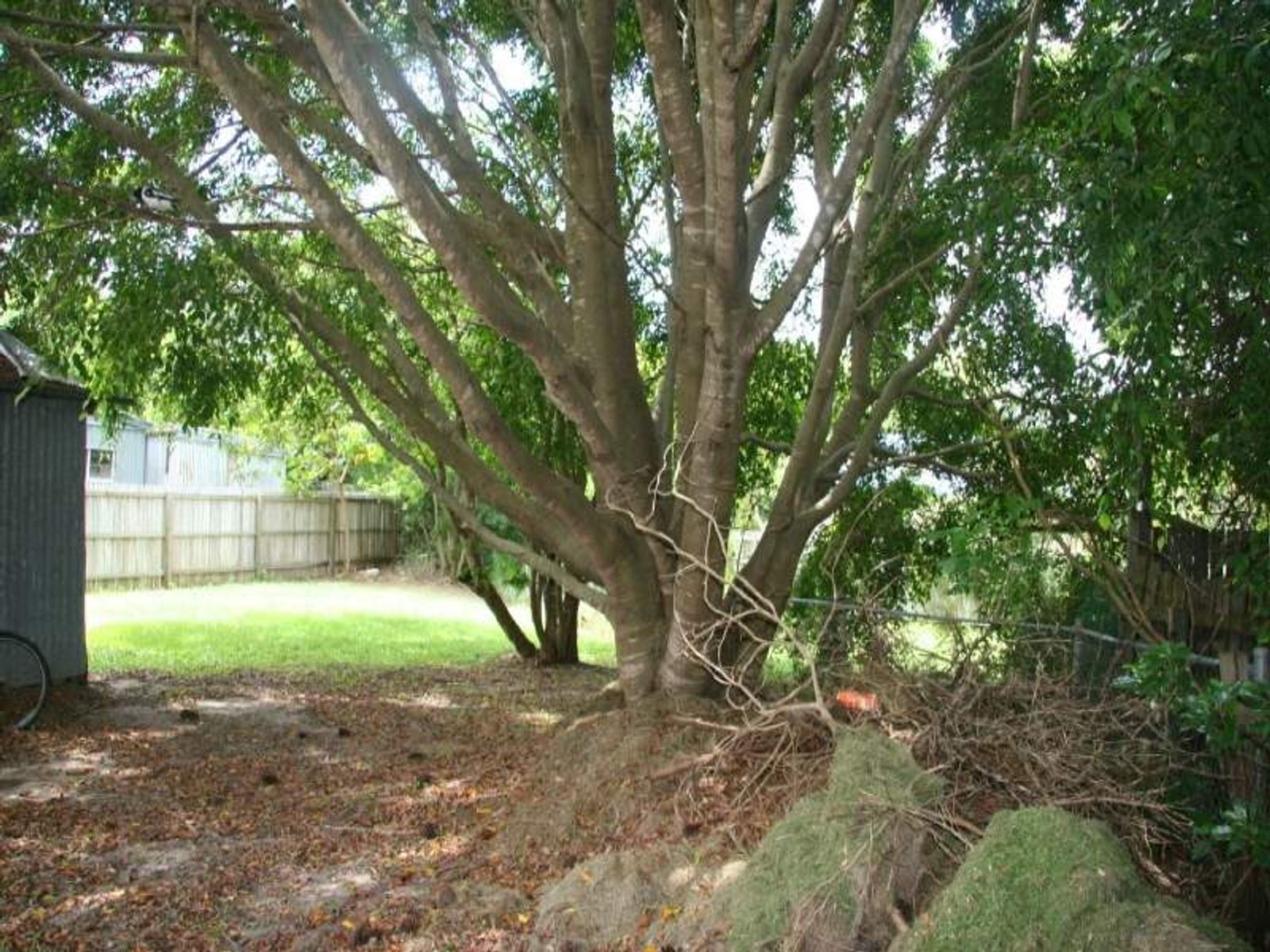 10 Wiltshire Street, Brighton, QLD 4017